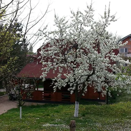 Chalet Brvnara *